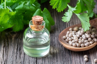 Масло кориандра для ароматизации пищевых продуктов