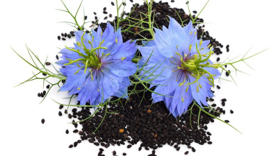Черный тмин Nigella Sativa молотый для БАД и косметики